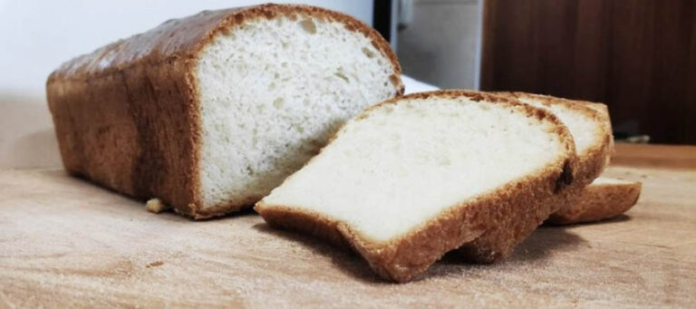 Pane