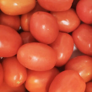 pomodorini