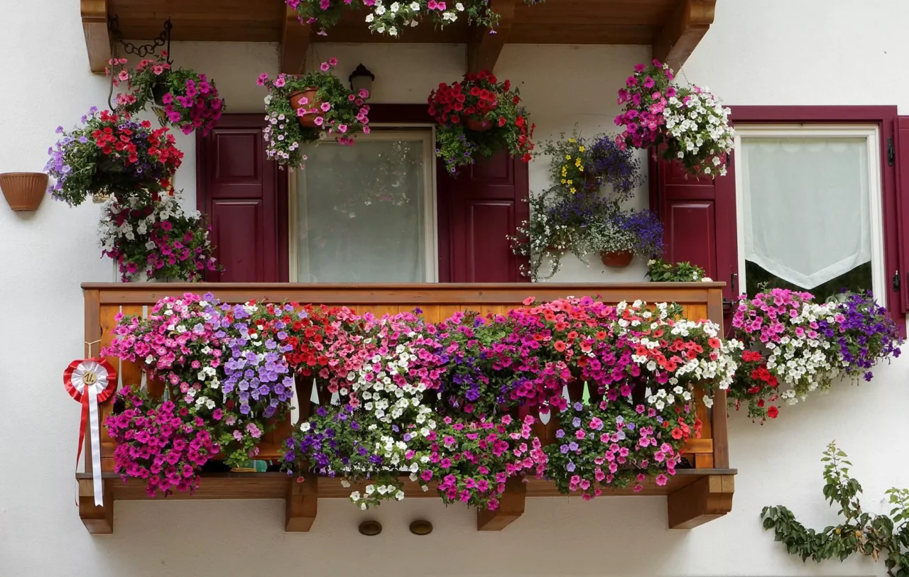 Cosa piantare ad agosto: idee e consigli per trasformare il tuo giardino o balcone in un’oasi verde